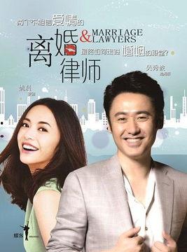 离婚律师演员表,实力派演员阵容演绎情感纠葛与法律斗争
