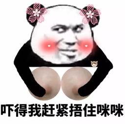 老司机的微笑表情包,揭秘行车安全背后的温馨瞬间