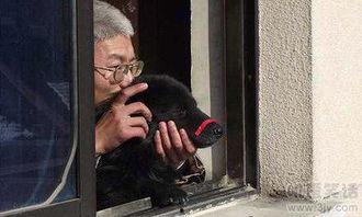 老爷爷搞笑图片,老爷爷搞笑瞬间，温馨回忆里的欢乐源泉