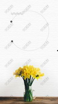 你看背景资料,揭秘我国科技创新背后的故事与成就